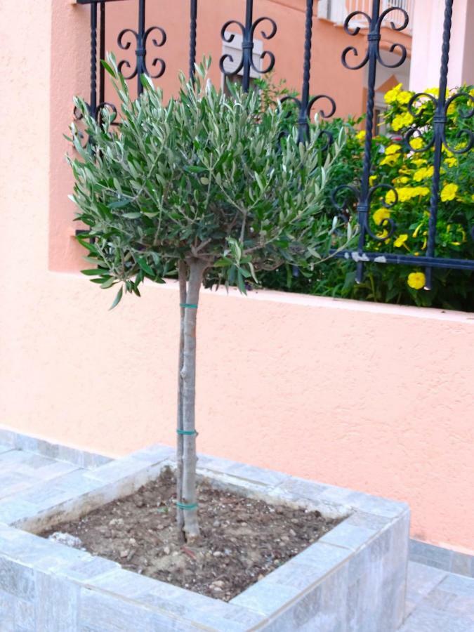 Socrates Apartments Olympiakí Aktí Luaran gambar